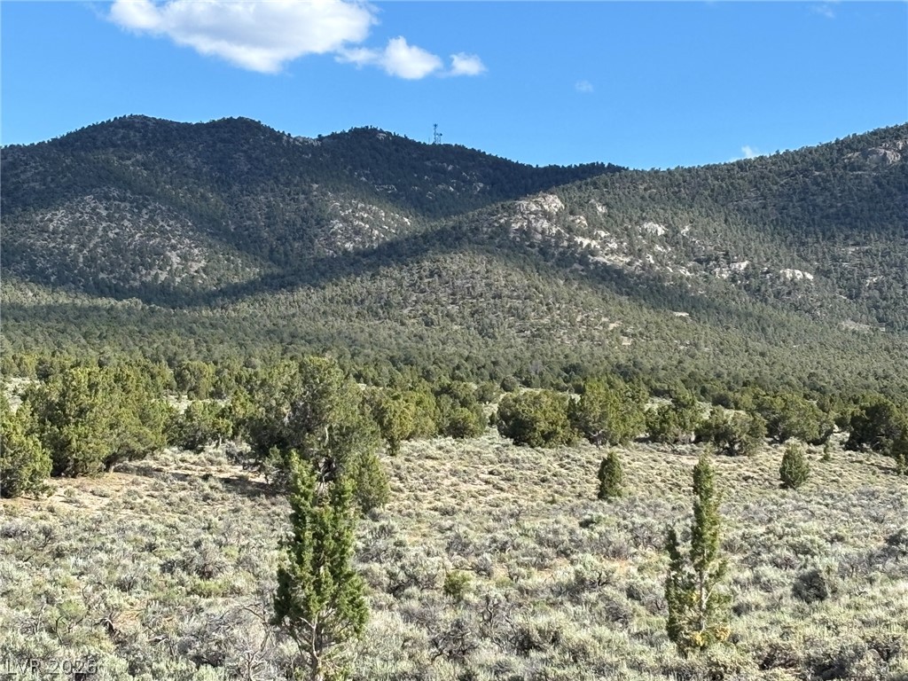 Off Of Lackawana Road Ely, NV 89301 - Photo 12 of 13 Dramatic mountain views define this expansive, undeveloped natural landscape.