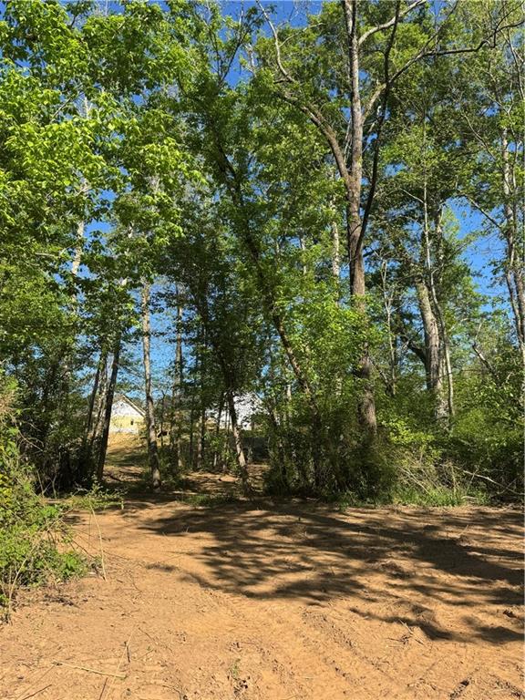 249 Wilson Road Temple, GA 30179 - Photo 12 of 18