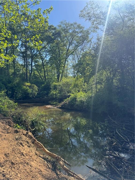 249 Wilson Road Temple, GA 30179 - Photo 13 of 18