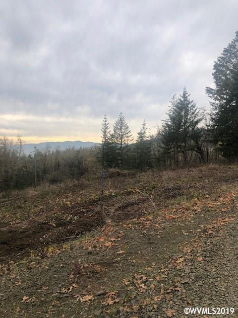 Richardson (lot 9) Road Dallas, OR 97338 - Photo 5 of 6