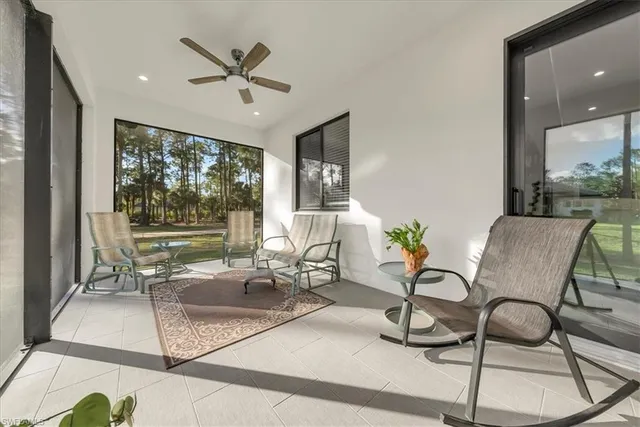 a view of a forest with a street