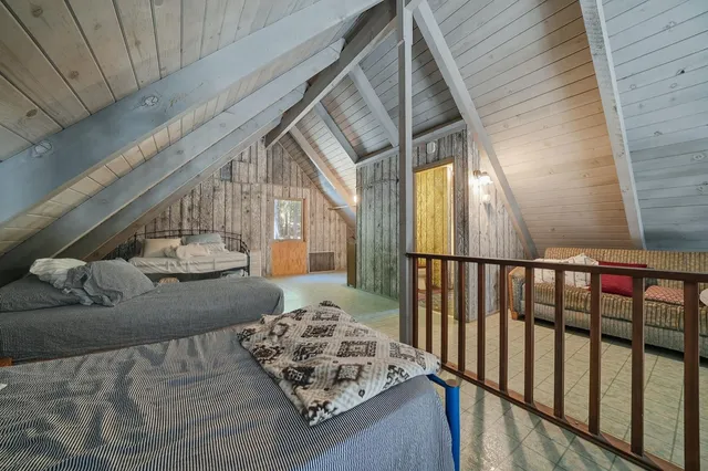 a view of backyard with a large tree