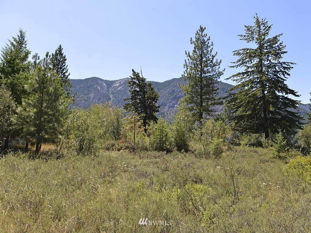 43 Cassal Road Winthrop, WA 98862 - Photo 6 of 19