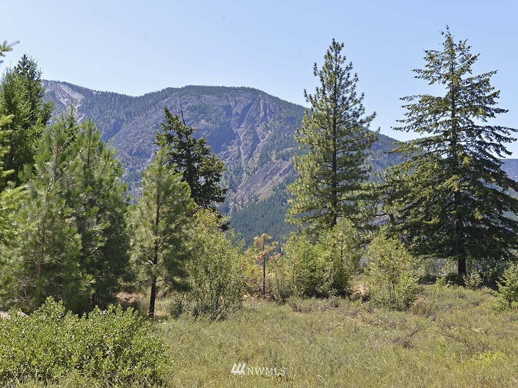 43 Cassal Road Winthrop, WA 98862 - Photo 7 of 19