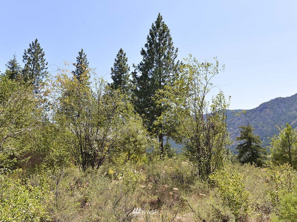 43 Cassal Road Winthrop, WA 98862 - Photo 8 of 19