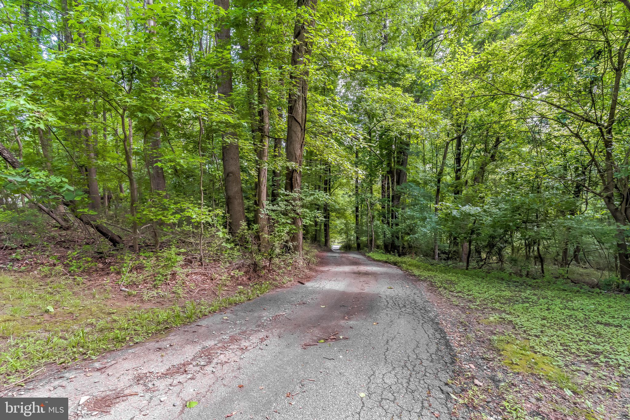 2166 Johns Hopkins Road Crofton, MD 21114 - Photo 57 of 80 Gallery Image 57