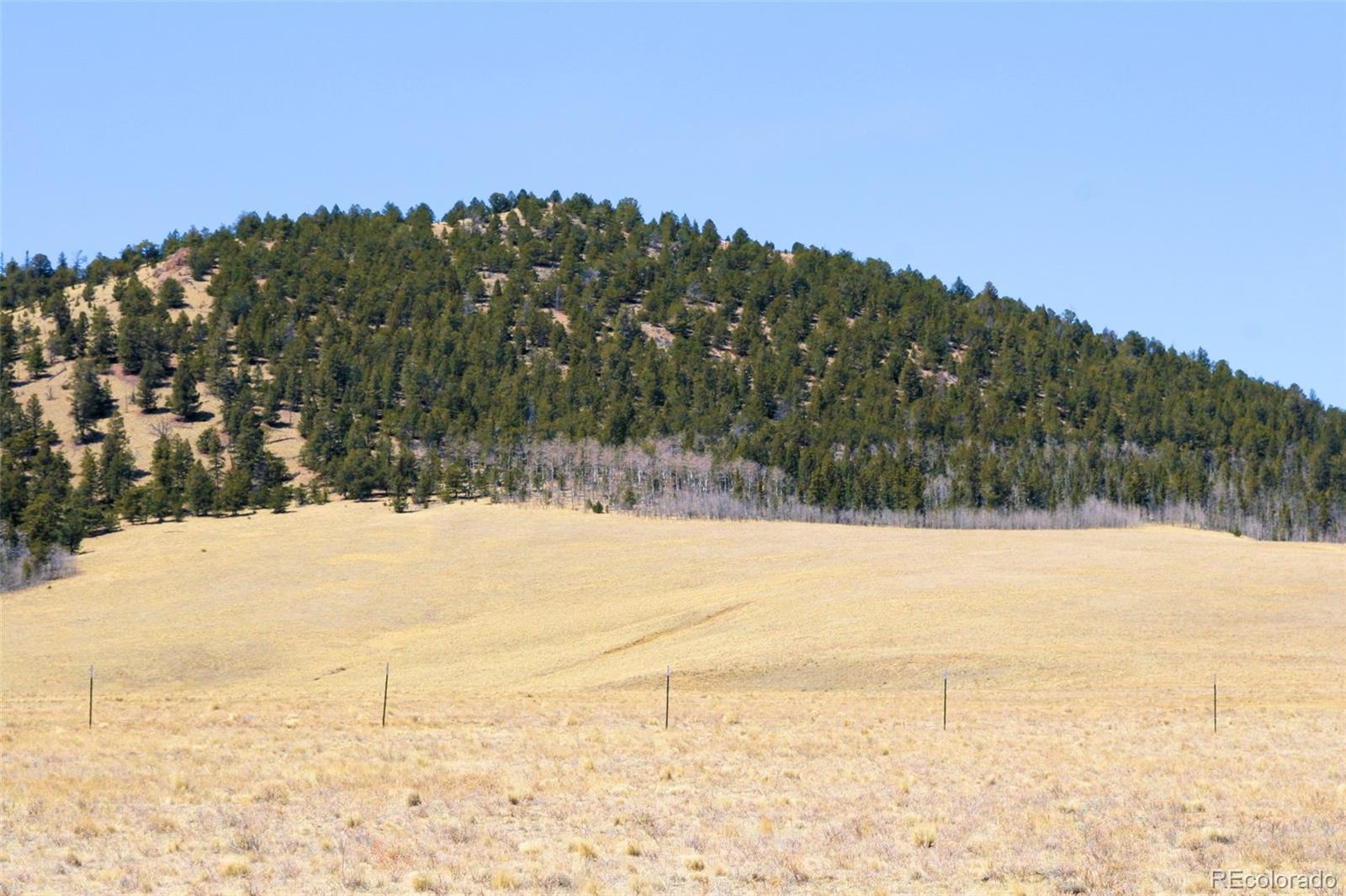 4884 Bar D Road Fairplay, CO 80432 - Photo 11 of 25 Gallery Image 11