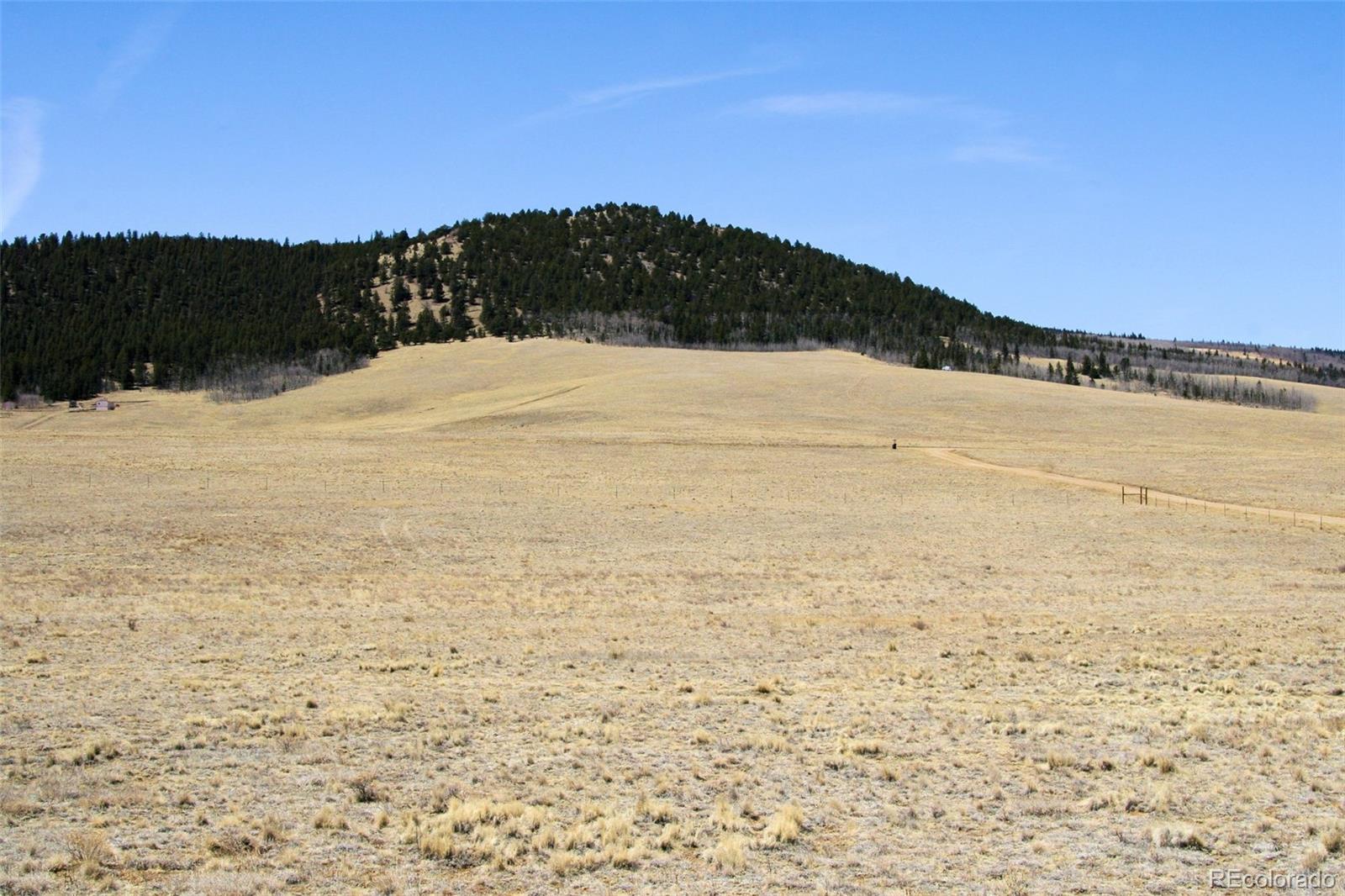 4884 Bar D Road Fairplay, CO 80432 - Photo 13 of 25 Gallery Image 13