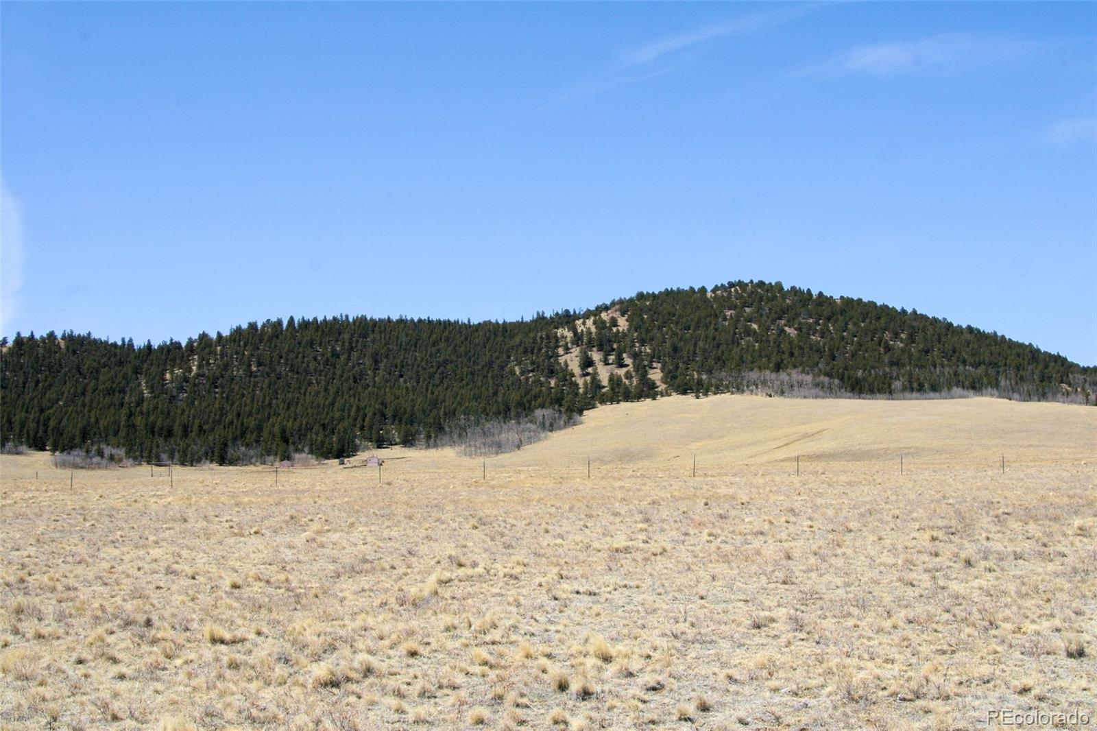 4884 Bar D Road Fairplay, CO 80432 - Photo 19 of 25 Gallery Image 19