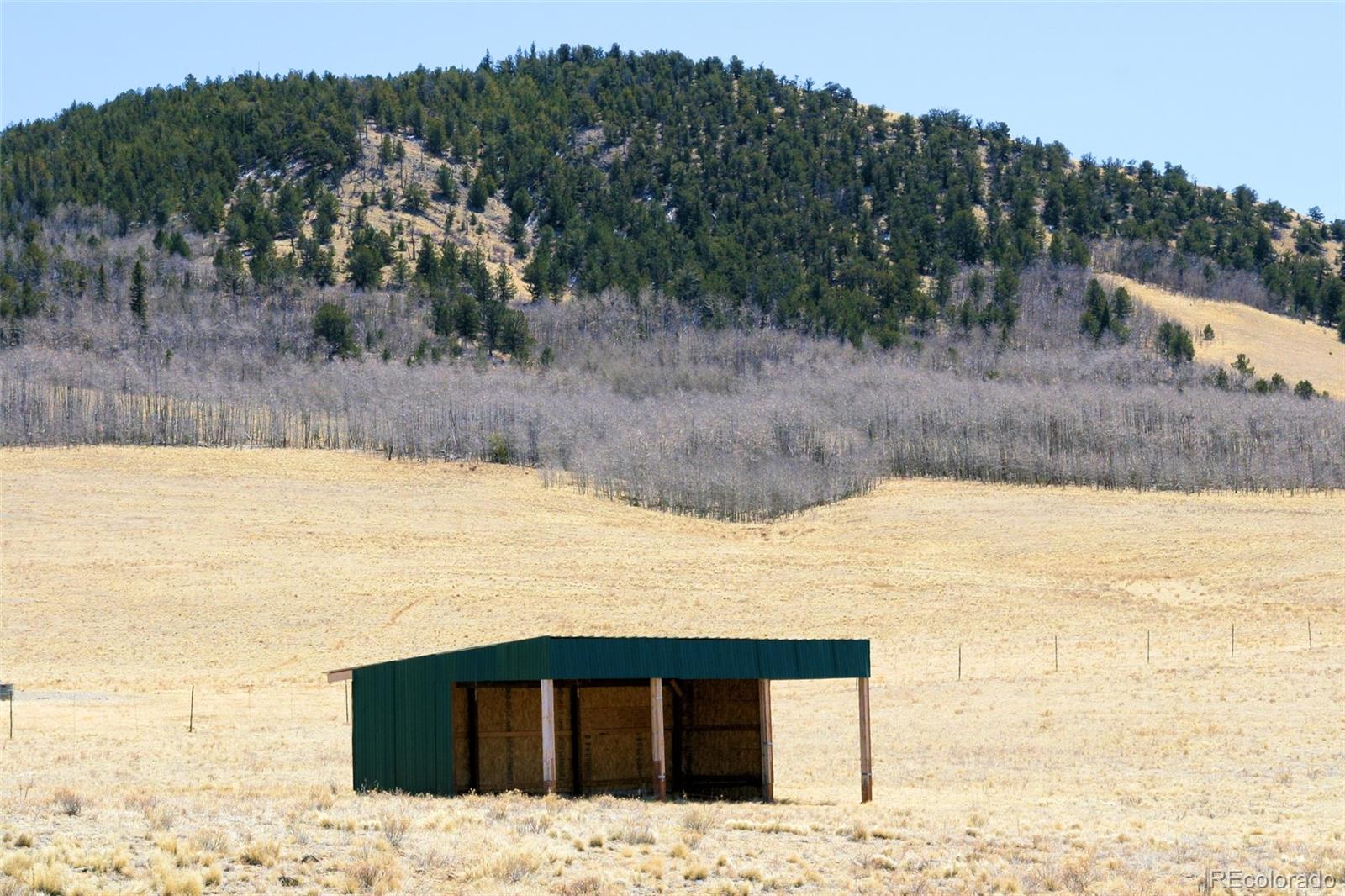4884 Bar D Road Fairplay, CO 80432 - Photo 2 of 25 Gallery Image 2