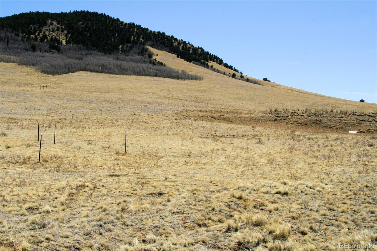 4884 Bar D Road Fairplay, CO 80432 - Photo 22 of 25 Gallery Image 22