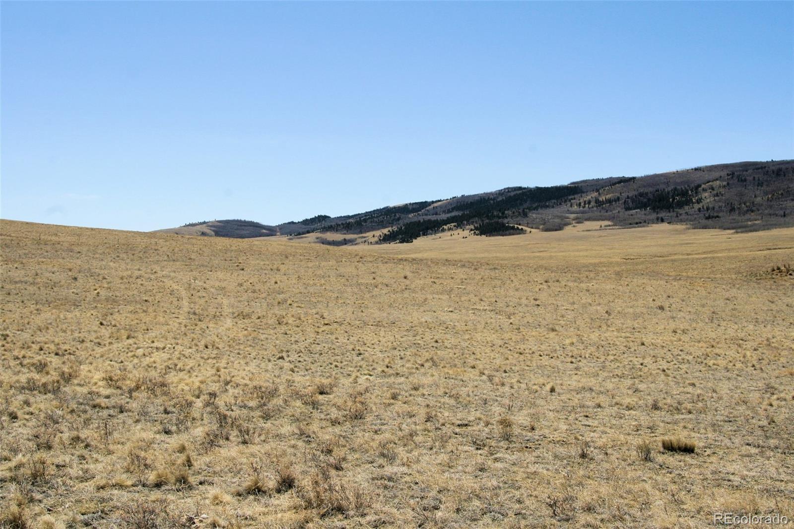 4884 Bar D Road Fairplay, CO 80432 - Photo 24 of 25 Gallery Image 24