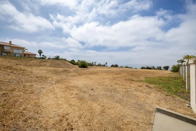 a view of a yard with trees