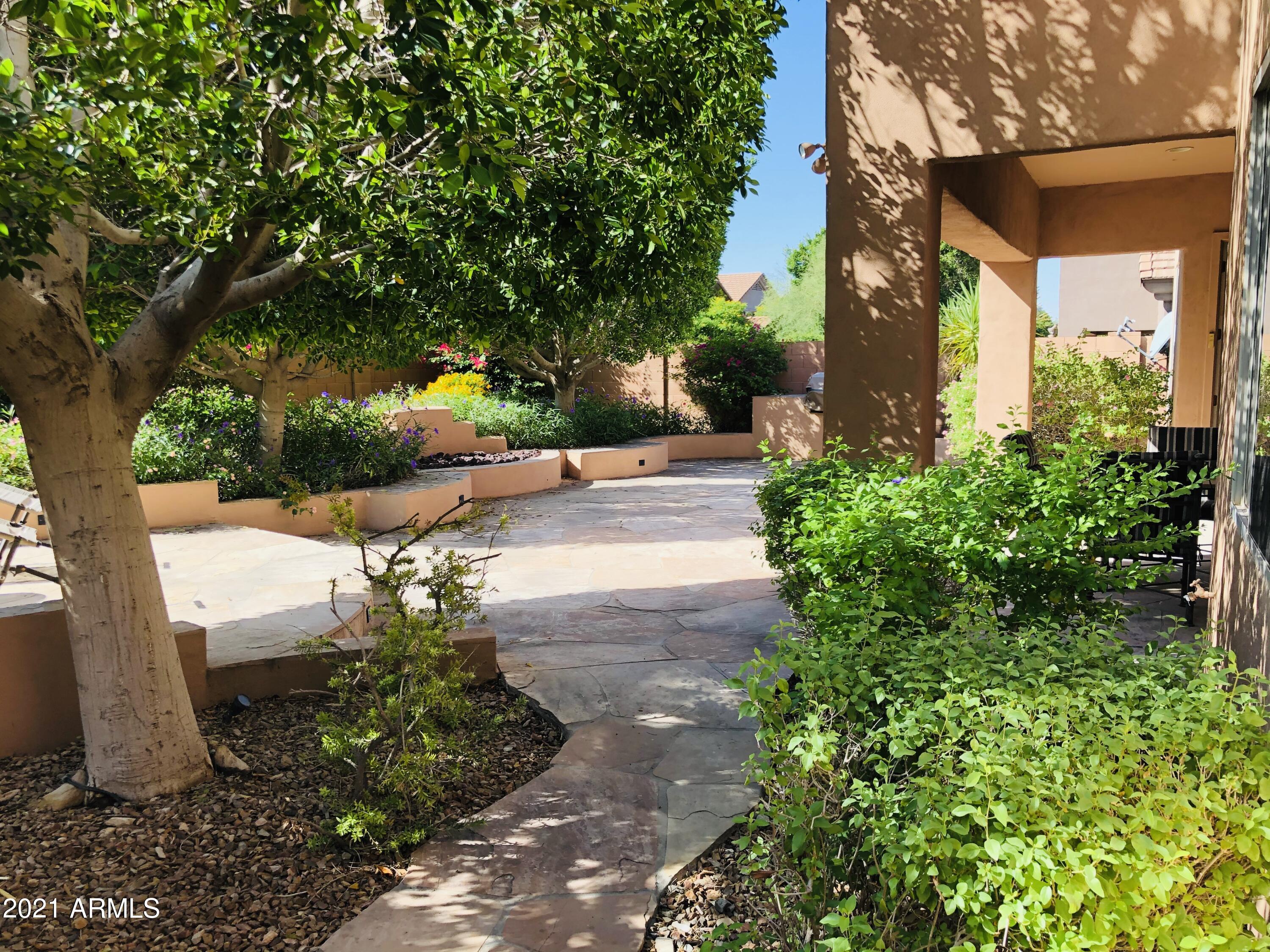10453 East Pine Valley Drive Scottsdale, AZ 85255 - Photo 35 of 35 a view of a yard with plants and a large tree