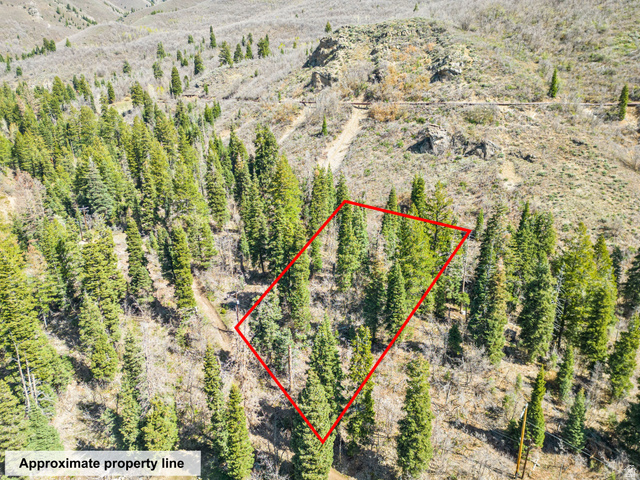 20 Success Trail, Unit 20 Midway, UT 84049 - Photo 9 of 18 Aerial view of property and surrounding area featuring property boundaries highlighted