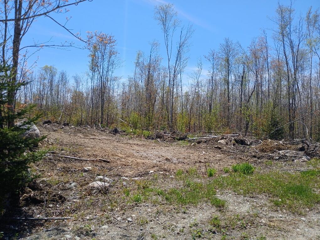 40 B Eleanor Mae Road/ Road Deblois, ME 04622 - Photo 2 of 10 20250513_121251_resized_1