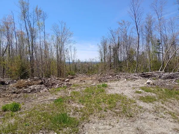 $54,900 | 40 B Eleanor Mae Road/ Road, Cherryfield, ME 04622