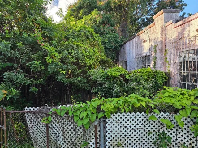 a couple of flower plants in front of house