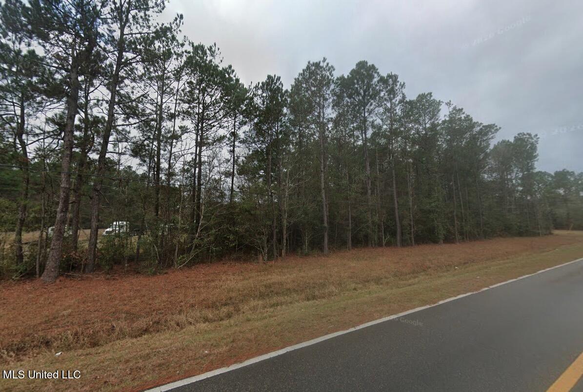 20455 Saucier Advance Road Saucier, MS 39574 - Photo 2 of 5 2