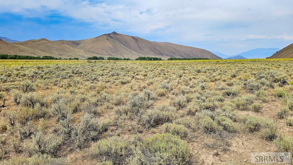 4897 Trail Creek Road Mackay, ID 83251 - Photo 2 of 26