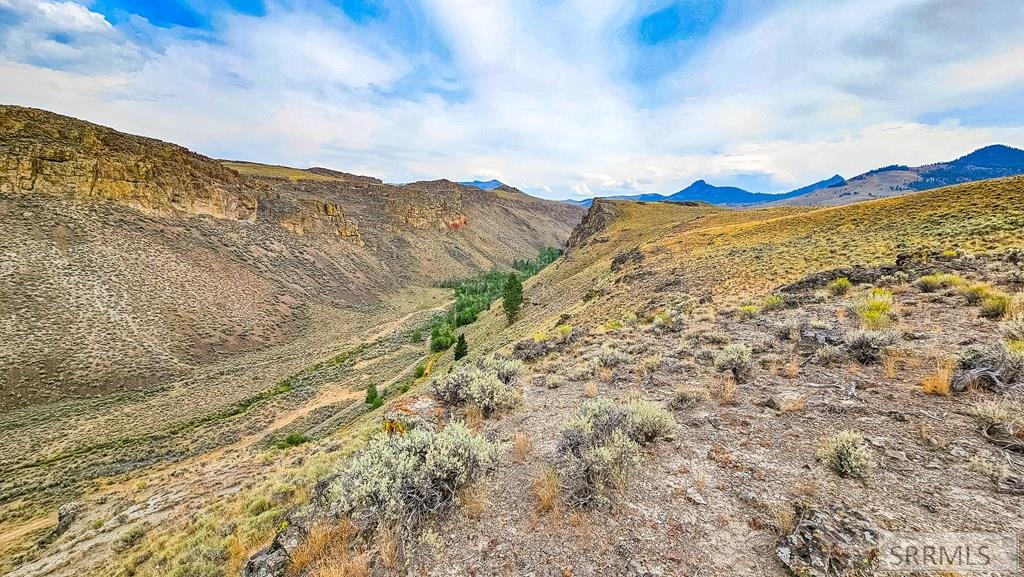 4897 Trail Creek Road Mackay, ID 83251 - Photo 5 of 26