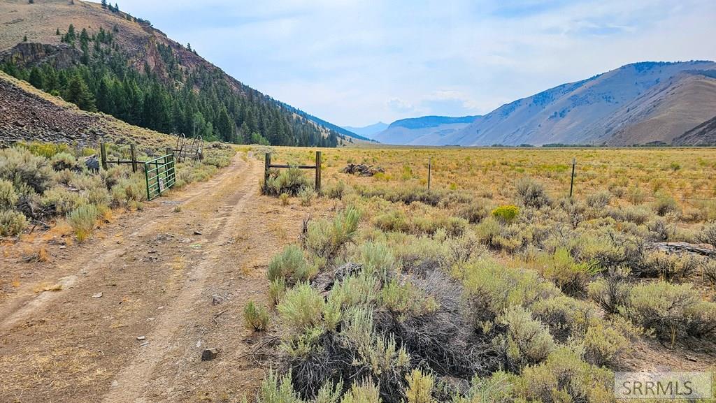 4897 Trail Creek Road Mackay, ID 83251 - Photo 7 of 26