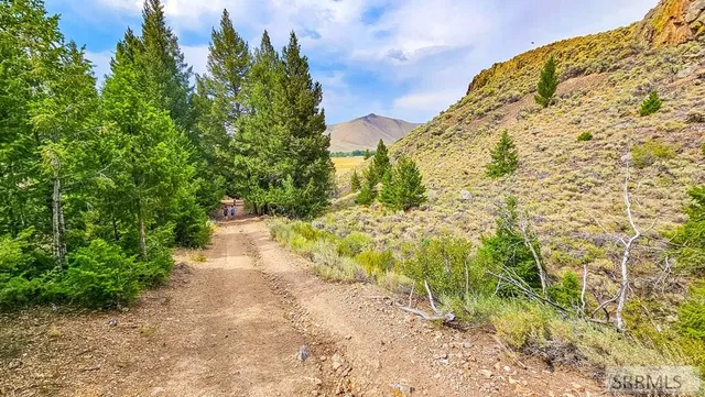 $373,425 | 4897 Trail Creek Road, Mackay, ID 83251