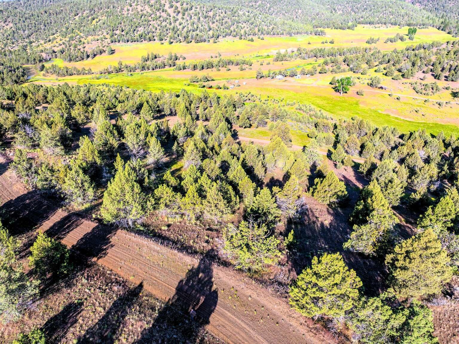 737 Raccoon Lane Alturas, CA 96101 - Photo 3 of 16 Dingman.3