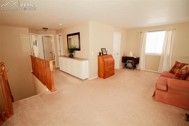 7979 Tompkins Road Peyton, CO 80831 - Photo 17 of 50