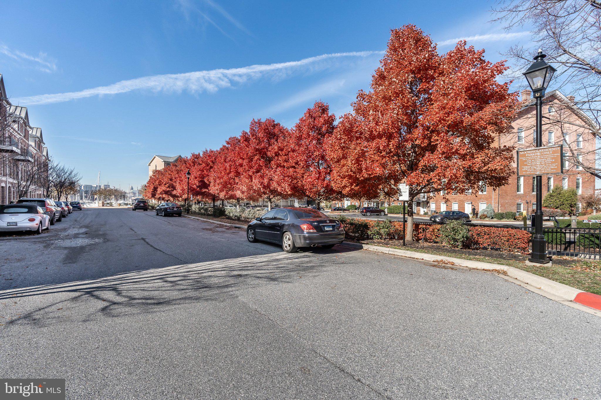 2702 Lighthouse Point East, Unit 532 Baltimore, MD 21224 - Photo 37 of 41 Vibrant autumn hues line the street.