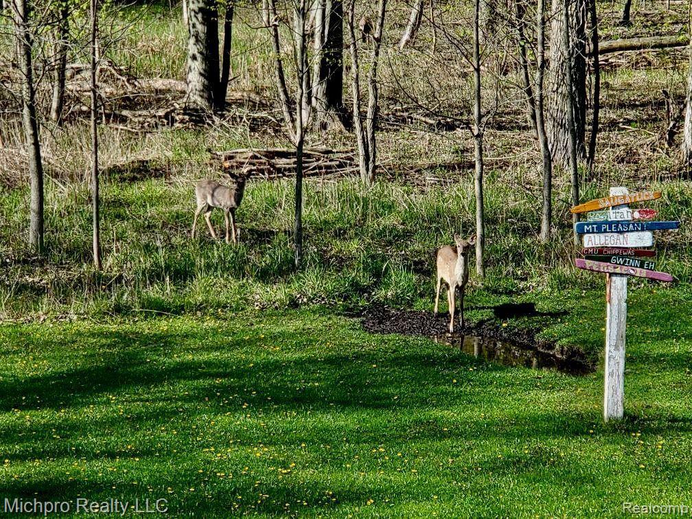 2625 East Britton Road Bancroft, MI 48414 - Photo 12 of 46 Gallery Image 12