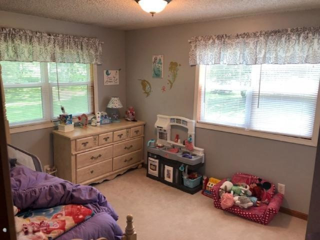 8912 North Pine Grove Road Vestaburg, MI 48891 - Photo 15 of 34