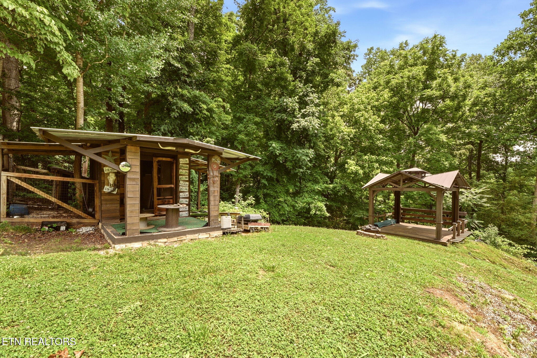 113 Pomona Road Oak Ridge, TN 37830 - Photo 48 of 60 48-web-or-mls-DSC_2355
