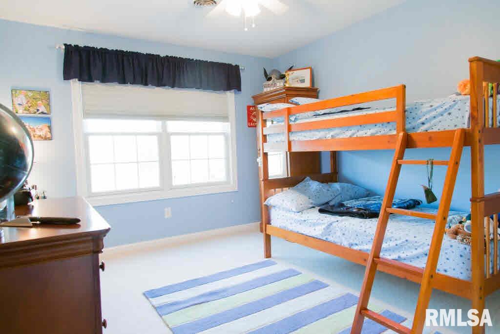 12224 Rte 84 North Port Byron, IL 61275 - Photo 17 of 24 Gallery Image 17
