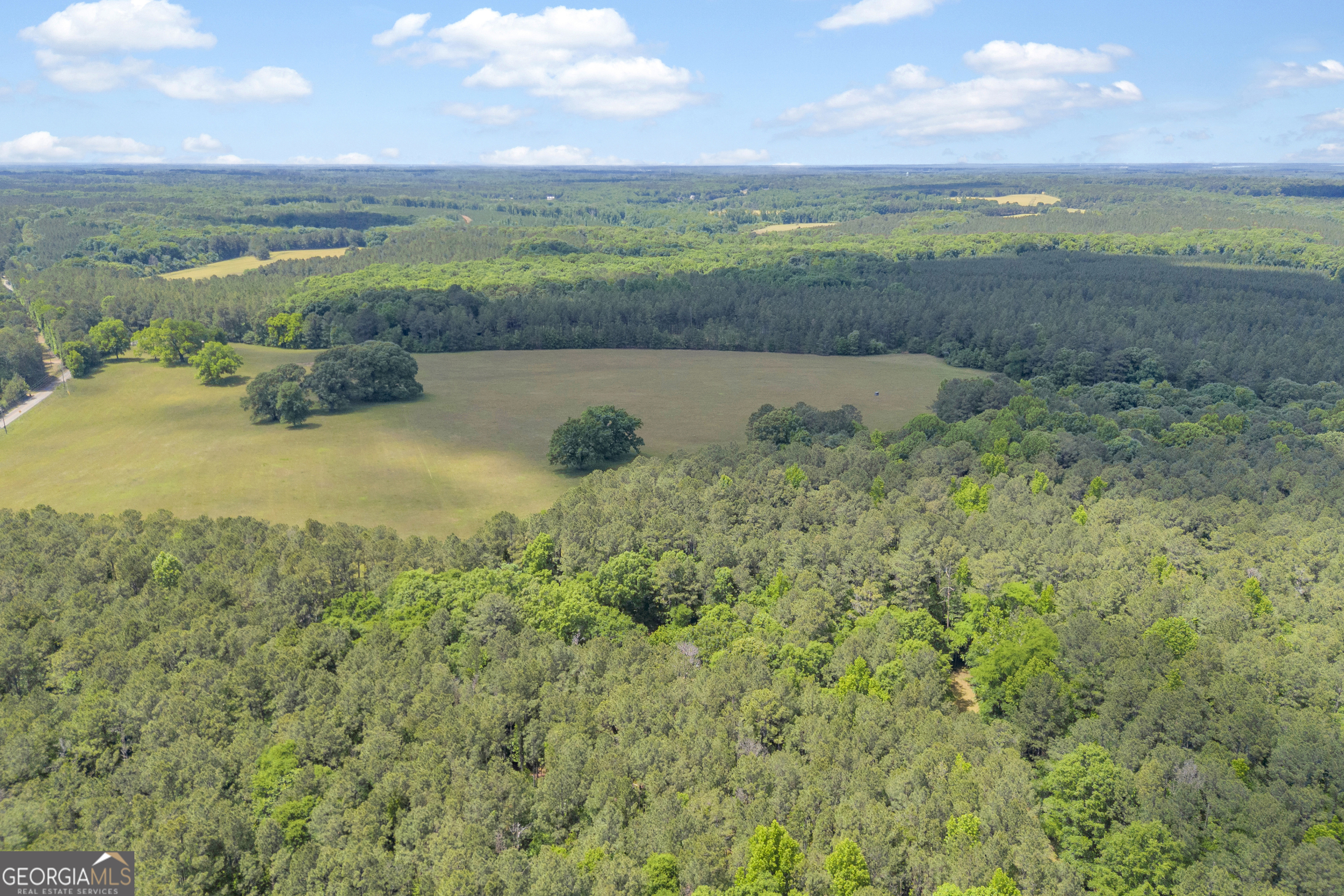 0 Pitts Chapel Road Monticello, GA 31064 - Photo 11 of 22