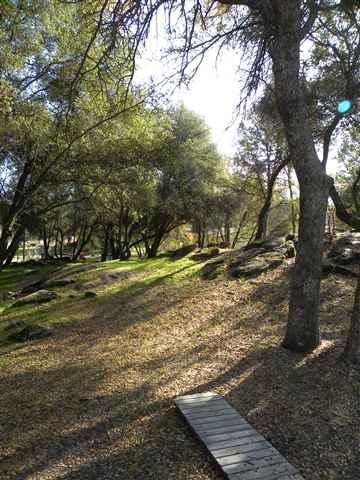 31876 Comanche Road Coarsegold, CA 93614 - Photo 15 of 16 Gallery Image 15