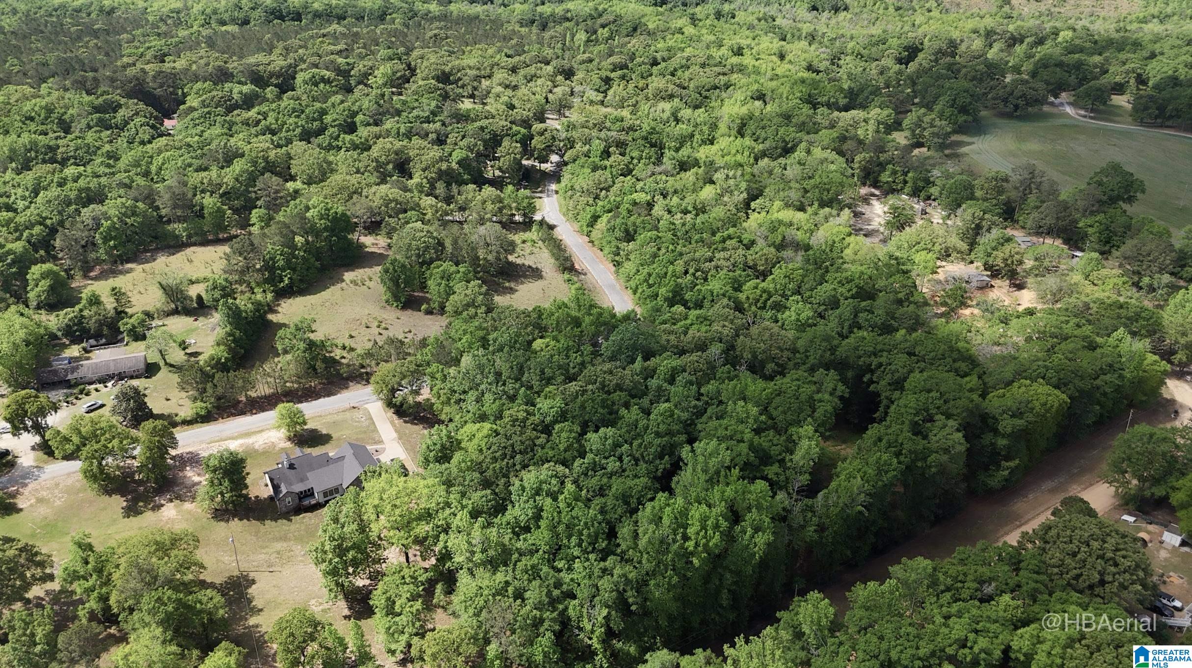 Blueberry Road, Unit X Seale, AL 36875 - Photo 4 of 5