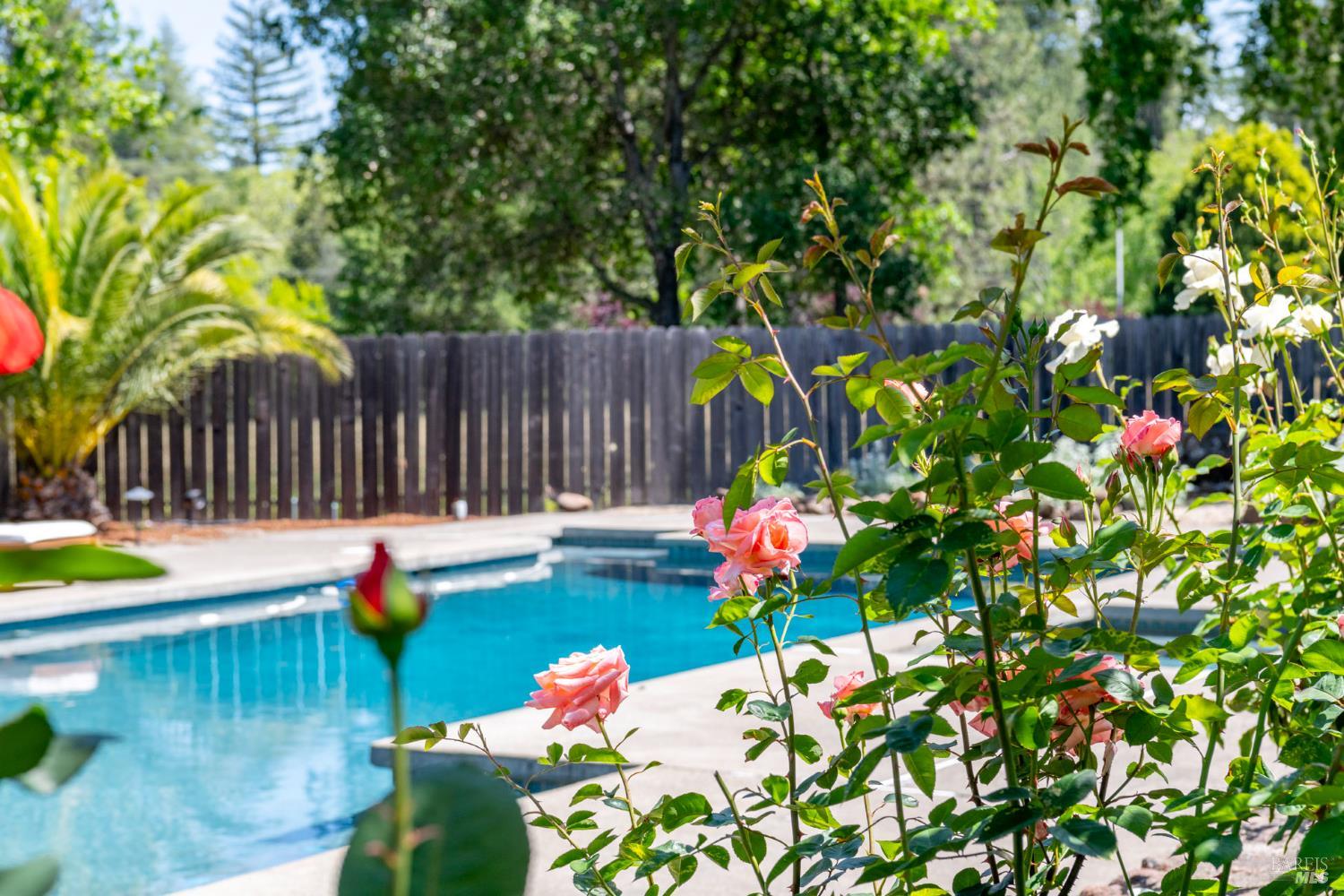 2501 Pinot Way St. Helena, CA 94574 - Photo 54 of 65