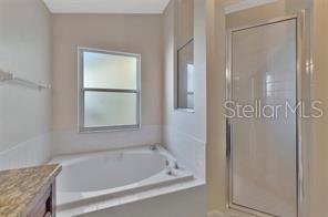 1664 Portsmouth Lake Drive Brandon, FL 33511 - Photo 24 of 38 a bathroom with a bathtub and shower