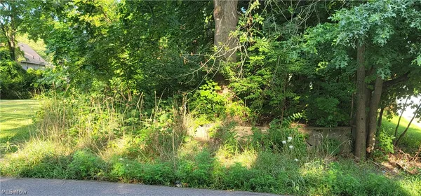 $5,000 | Garfield Street, Akron, OH 44310