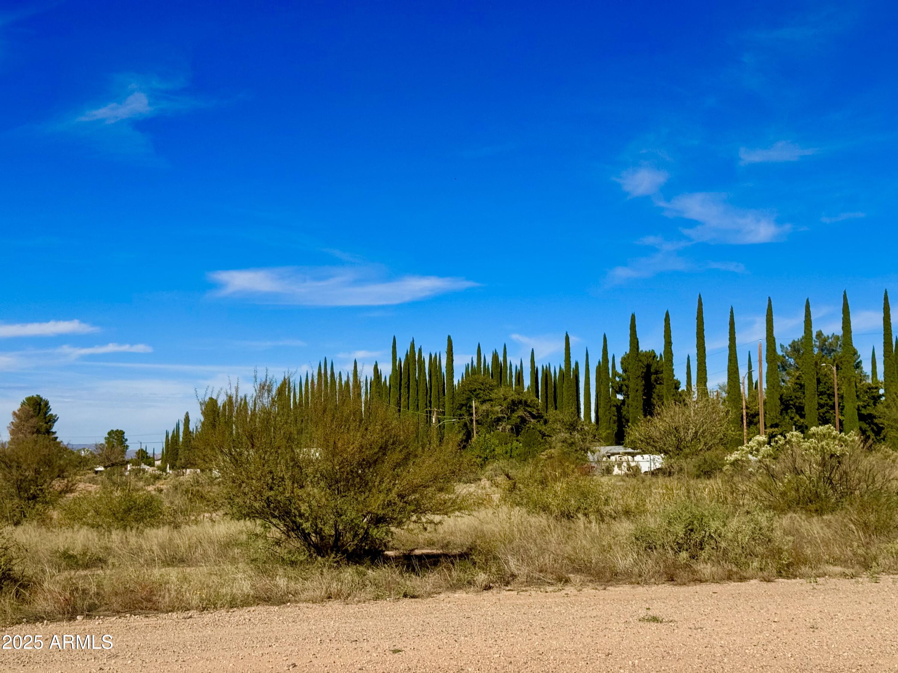 4.24 Acres Douglas Az 85607 Douglas, AZ 85607 - Photo 3 of 9 a view of a yard with palm trees