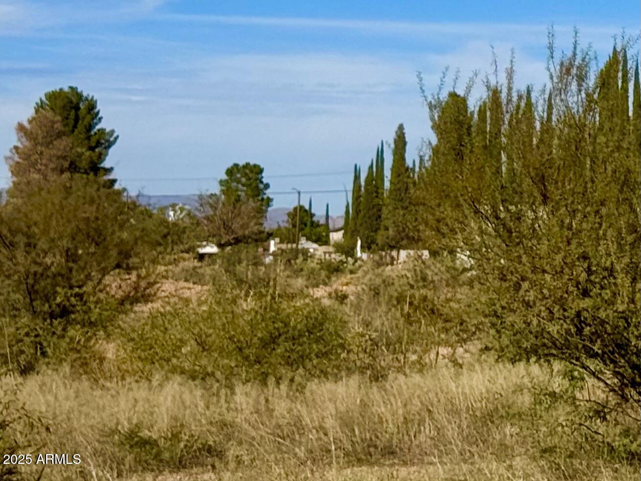 4.24 Acres Douglas Az 85607 Douglas, AZ 85607 - Photo 7 of 9 a view of a yard and mountain view in back