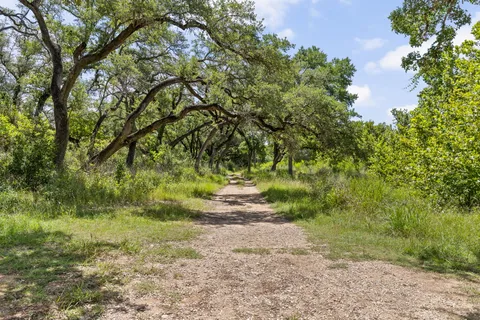 a big yard with lots of green space and house in the back