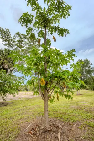 $450,000 | 1100 Red Barn Rd N West, Moore Haven, FL 33471