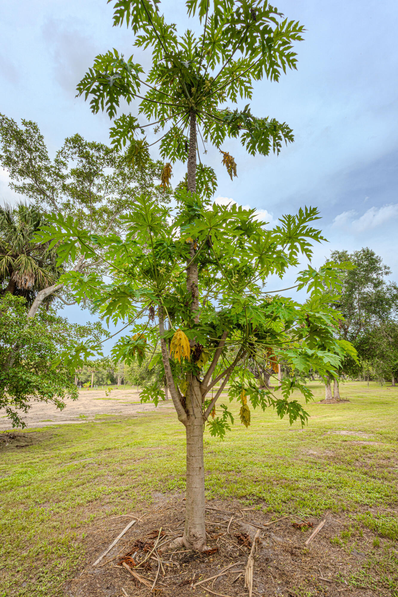 1100 Red Barn Rd N West Moore Haven, FL 33471 - Photo 12 of 24 a view of an ocean