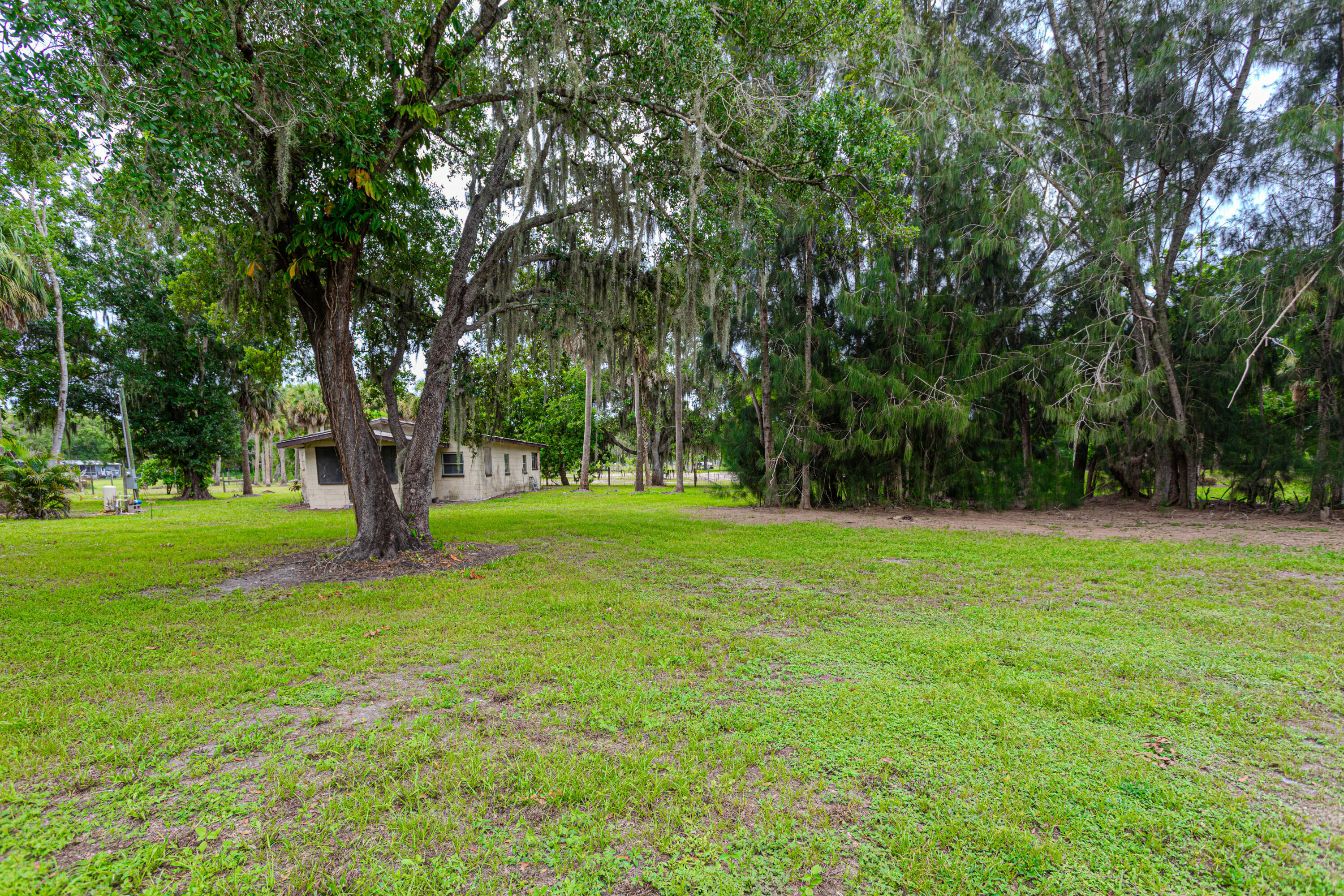1100 Red Barn Rd N West Moore Haven, FL 33471 - Photo 13 of 24 a huge green field with lots of trees