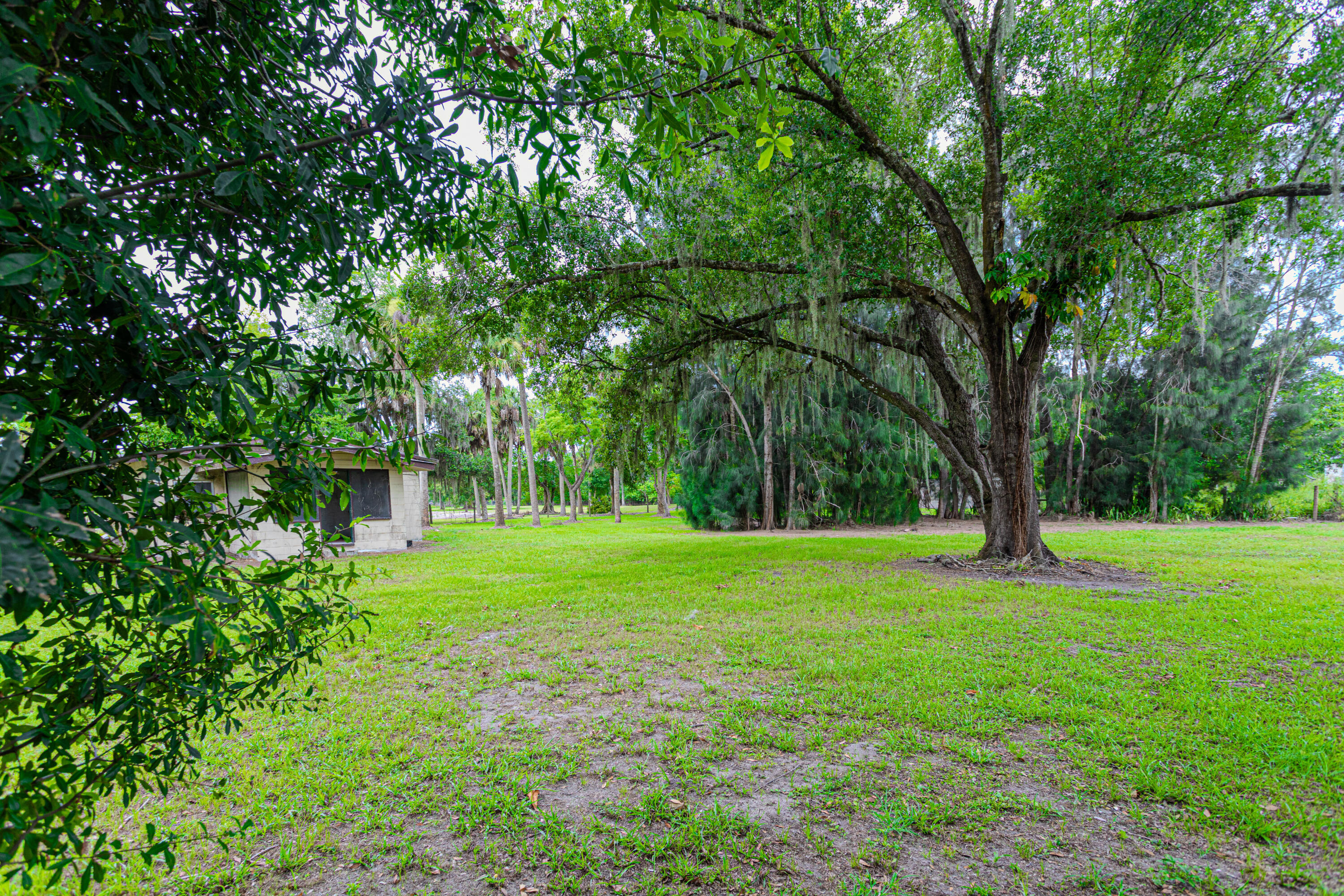 1100 Red Barn Rd N West Moore Haven, FL 33471 - Photo 14 of 24 a big yard with lots of green space and trees