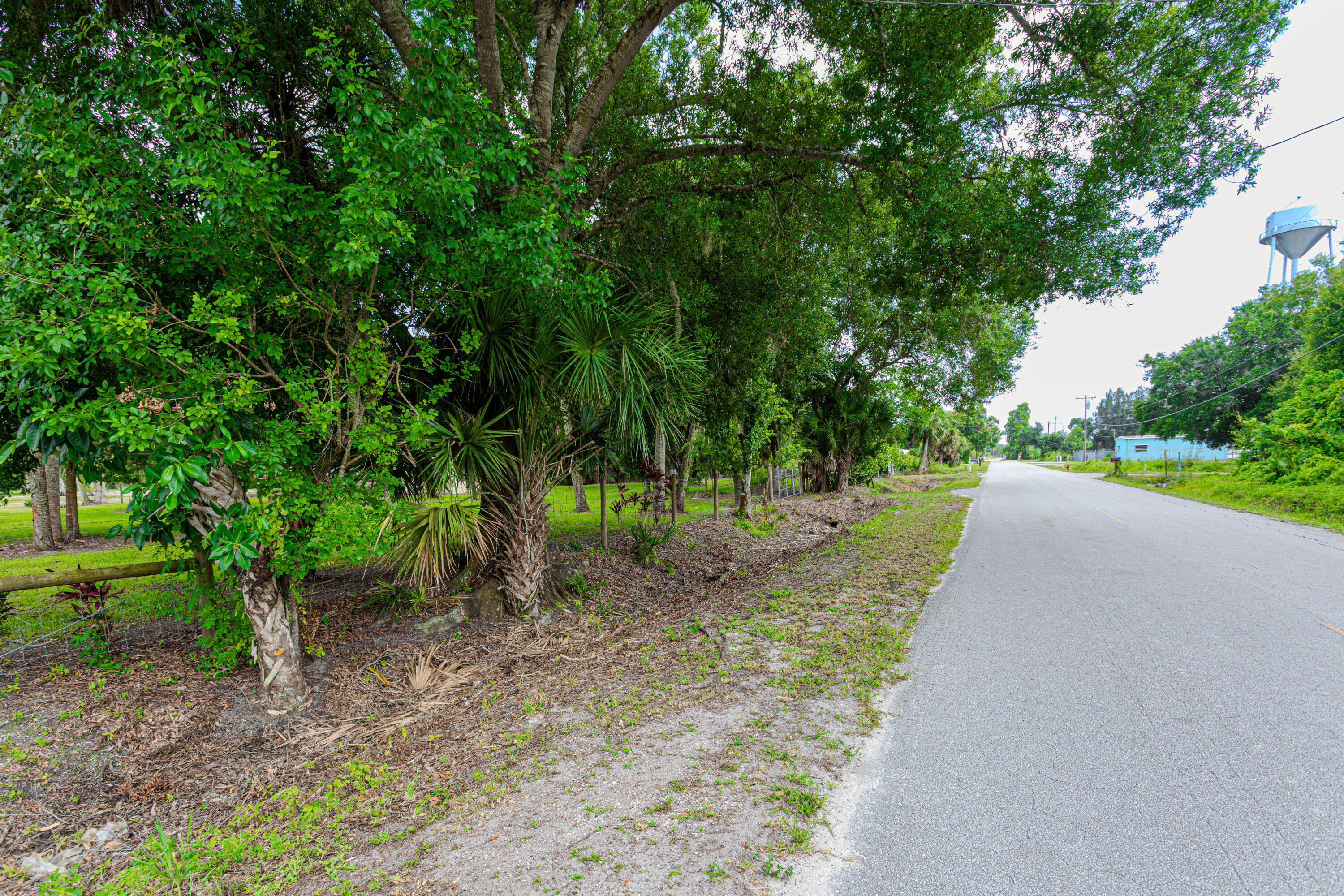 1100 Red Barn Rd N West Moore Haven, FL 33471 - Photo 2 of 24 a view of a yard with plants and trees