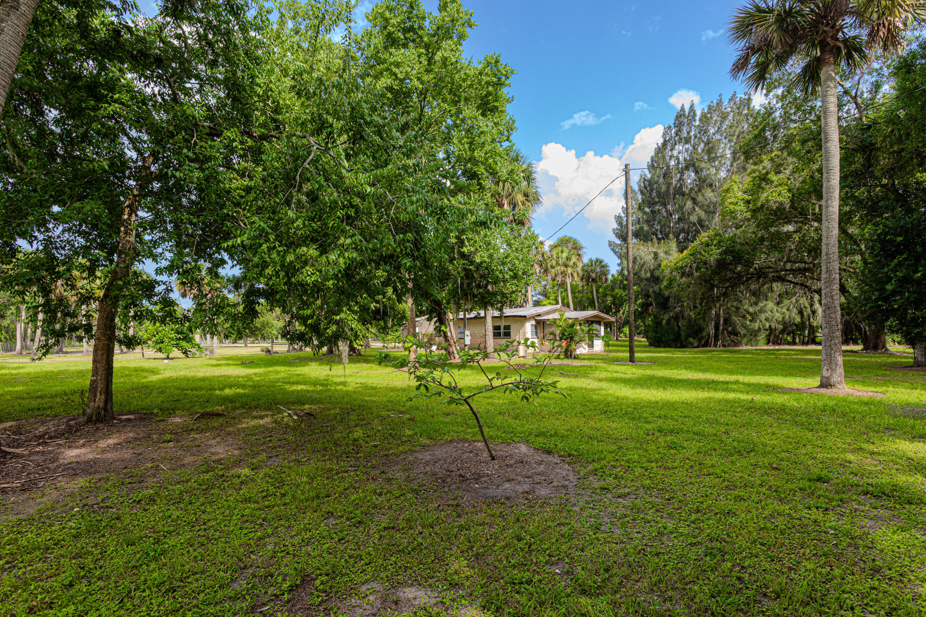1100 Red Barn Rd N West Moore Haven, FL 33471 - Photo 5 of 24 a huge green field with lots of trees