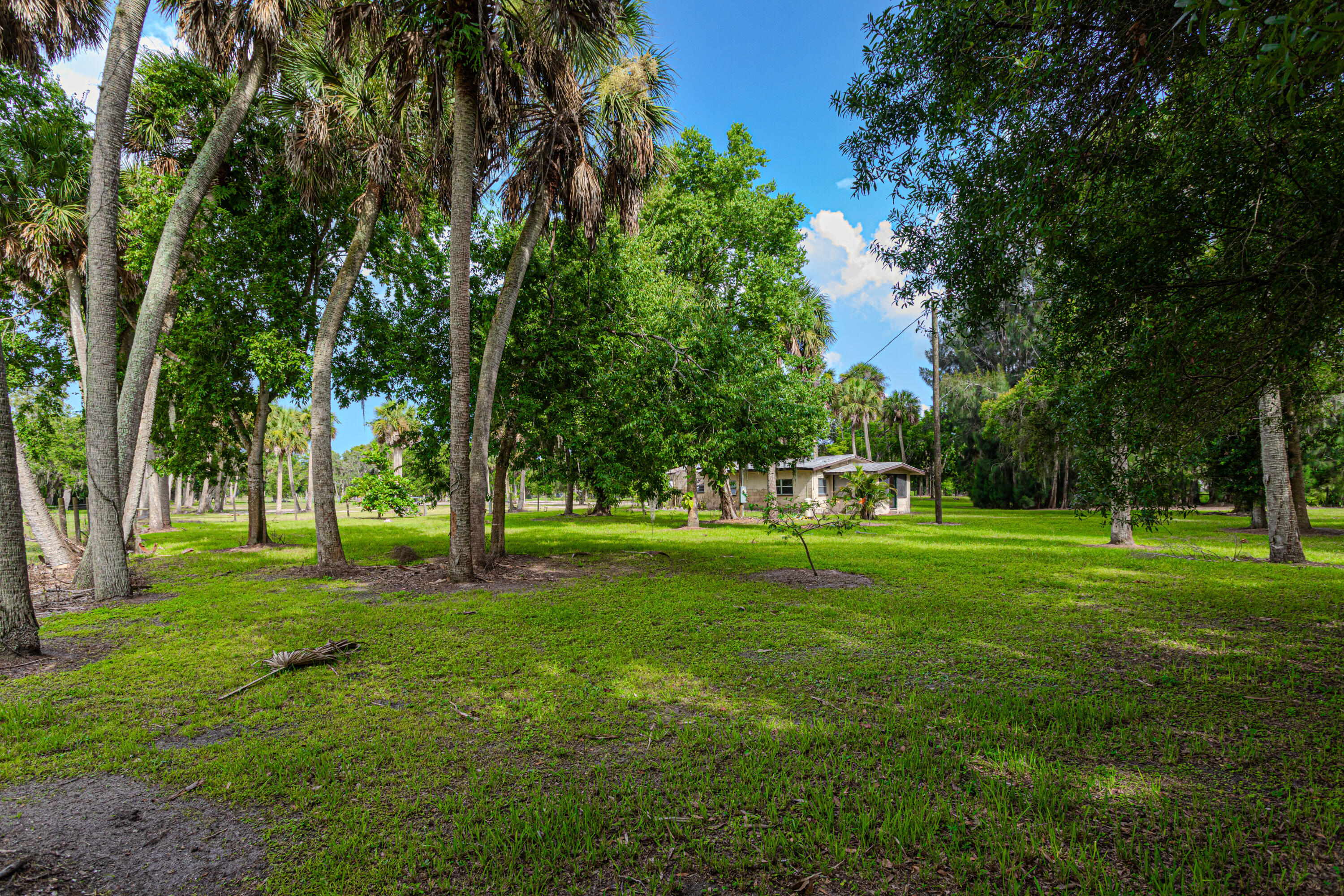 1100 Red Barn Rd N West Moore Haven, FL 33471 - Photo 6 of 24 a garden view with a trees